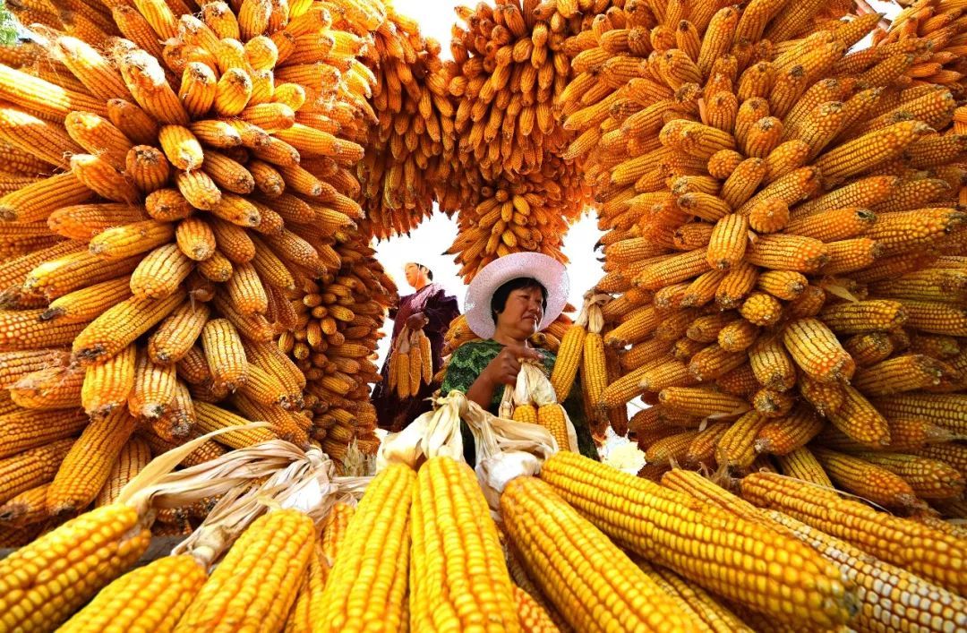 客戶(hù)見(jiàn)證